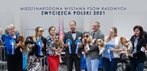 Shows - zdjęcie 29