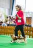 Shows - zdjęcie 67
