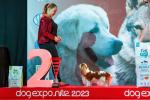 Shows - zdjęcie 110