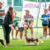 Shows - zdjęcie 138