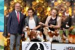 Shows - zdjęcie 147