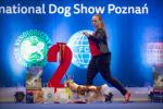 Shows - zdjęcie 150