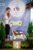 Shows - zdjęcie 10