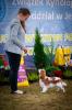 Shows - zdjęcie 11