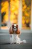 2023 - zdjęcie 48