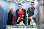 Shows-Hajsi - zdjęcie 91