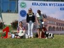Shows-Hajsi - zdjęcie 5