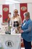 Shows-Hajsi - zdjęcie 26