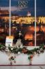 Shows-Hajsi - zdjęcie 29