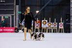 Shows-Hajsi - zdjęcie 42