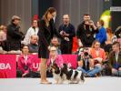 Shows-Hajsi - zdjęcie 43